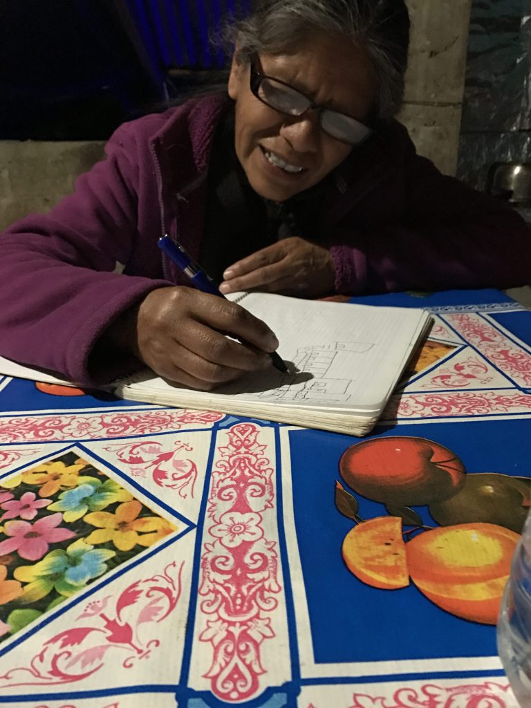 Ines Cortes magic mushrooms