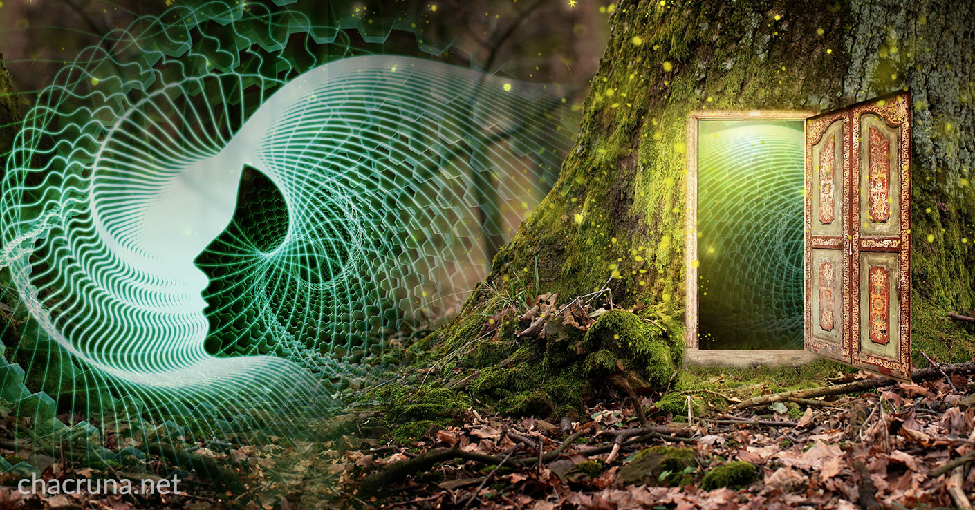 ayahuasca integration