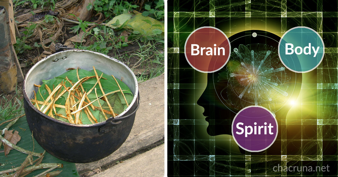 ayahuasca mental health